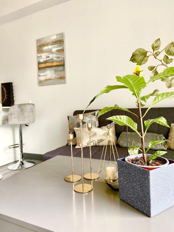 Comodo Y Elegante Apartamento En Fabuloso Condo! سان هوزيه المظهر الخارجي الصورة